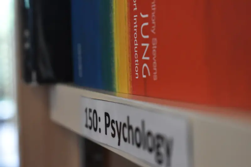 Why Psychological Safety Is the Missing Link in Modern Workplaces