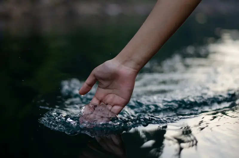 Cold Water Immersion: Unlocking Natural Resilience and Vitality