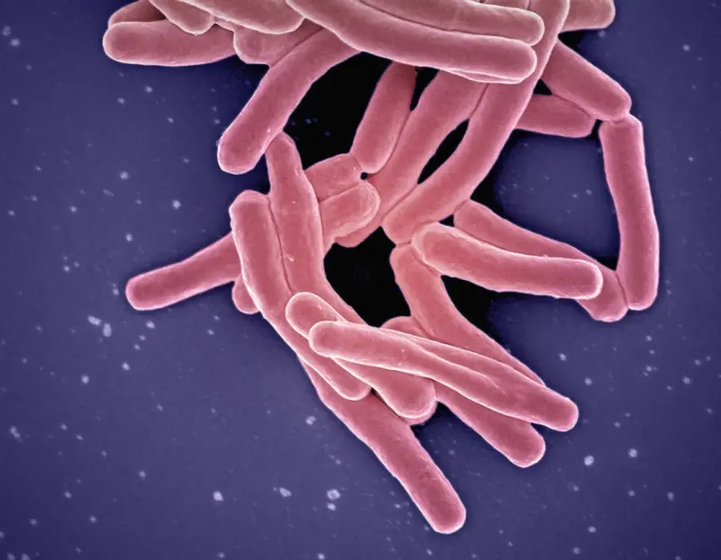 Nurturing Your Gut Microbiome for Better Mood and Energy