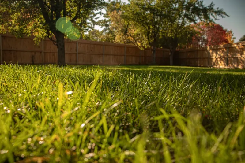 From Lawn to Larder: Growing a Food‑First Landscape