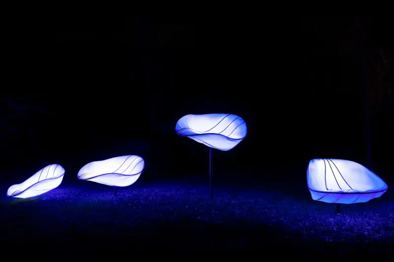 Lighting the Night: Transform Your Garden with Creative Outdoor Illumination