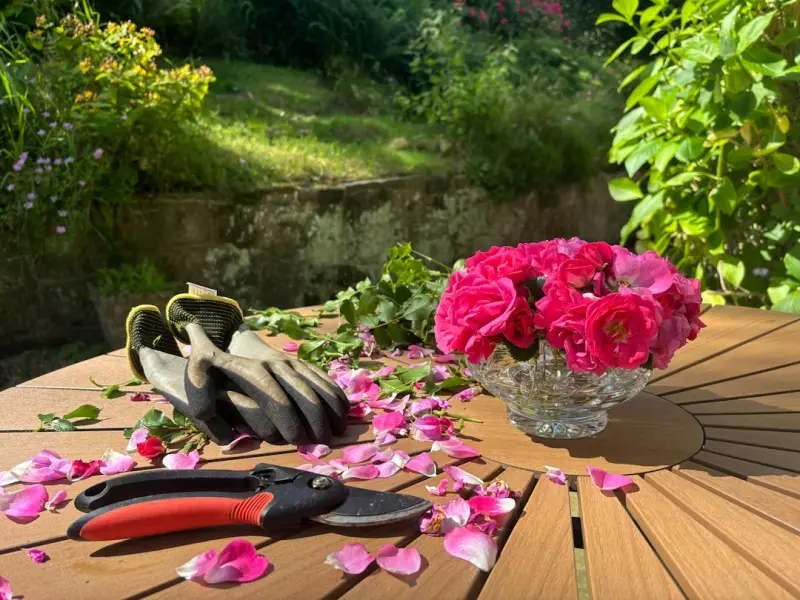 Sonic Serenity: Crafting a Garden That Heals the Ear