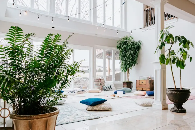 Cultivating Calm: How to Design a Home Sanctuary That Nourishes Body and Mind