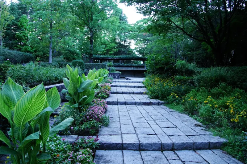Native Plant Gardens: The Busy Professional’s Blueprint for Effortless Beauty