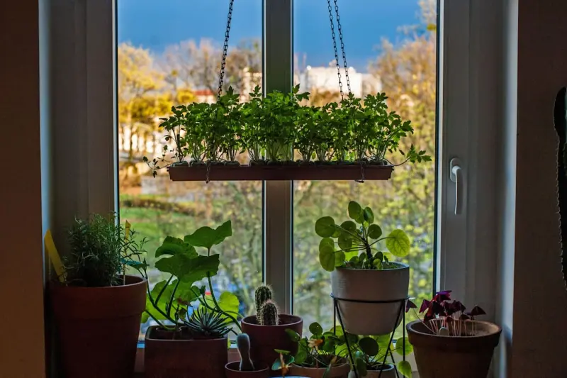 Turn Your Backyard Into a Pollinator Powerhouse: Step‑by‑Step Blueprint