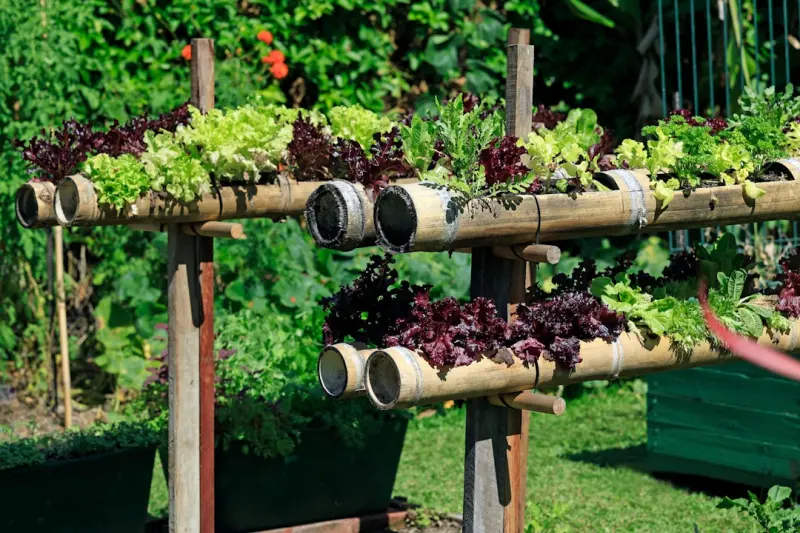 Vertical Gardening Mastery: Transform Small Spaces into Lush Living Walls