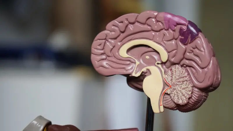 When AI Becomes Your Second Brain: Rethinking Knowledge Work
