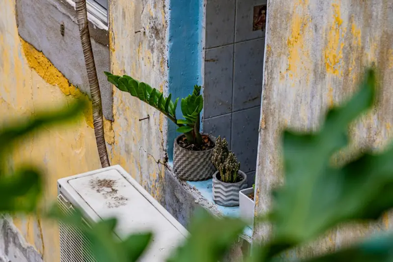 Vertical Oasis: Transforming Small Balconies into Thriving Gardens