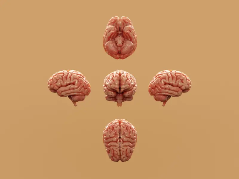 Neurodiversity at Work: Harnessing Cognitive Variety for Business Growth