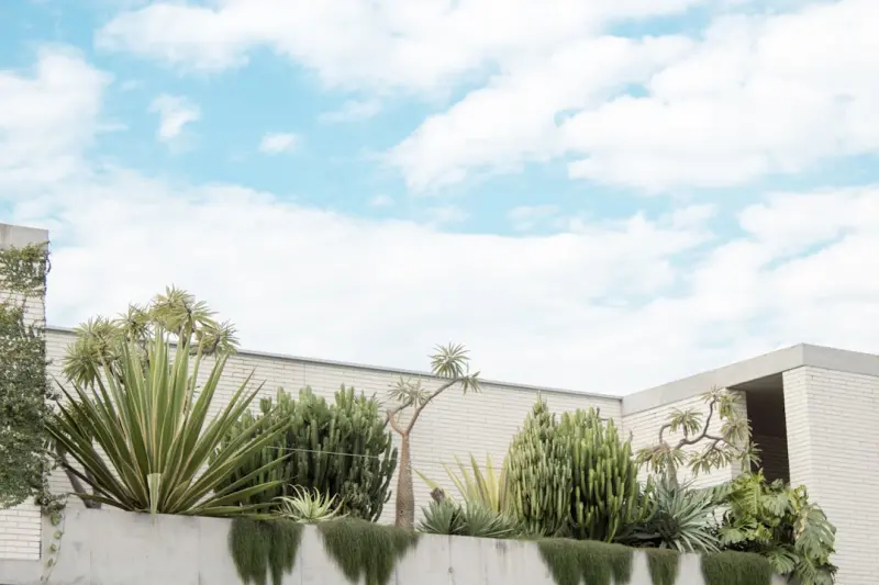Minimalist Garden Design: Declutter Your Outdoor Space for Calm and Clarity