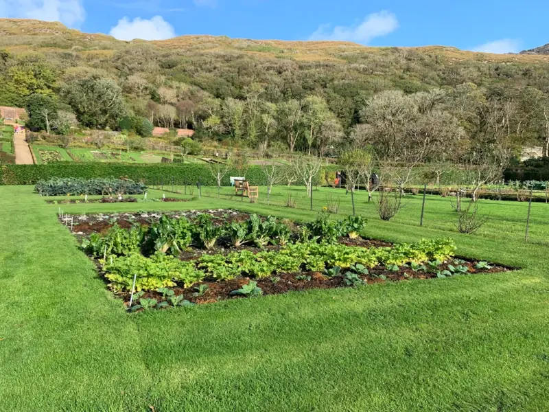 Edible Landscaping: Designing a Food‑Forward Garden That Feeds the Planet and Your Plate