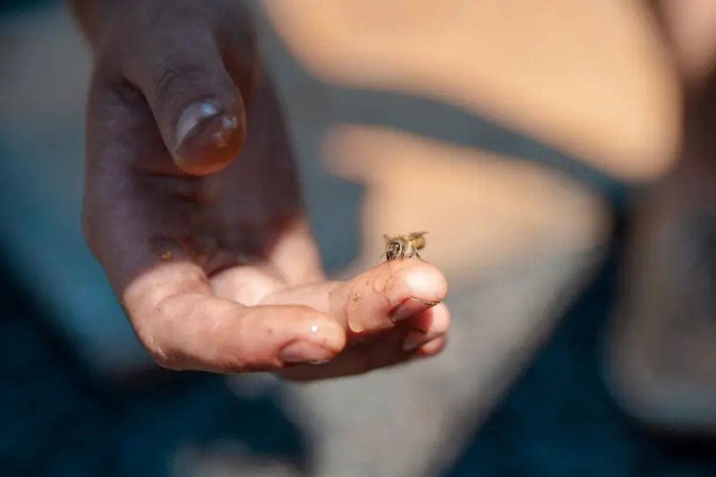 Micro‑Adventures: Tiny Trips, Big Impact