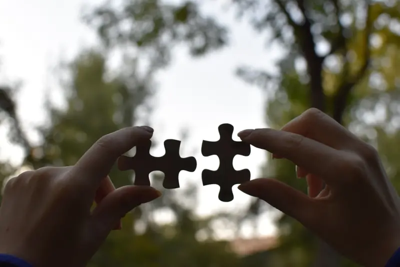 Why Play Is the Missing Piece in Adult Mental Health