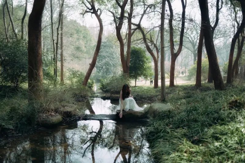 The Healing Power of Forest Bathing: A Modern Guide to Natural Wellness