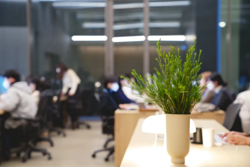 Cultivating the Future: How Green Workspaces Are Redefining Employment