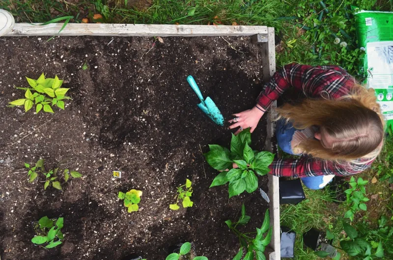 Turn Your Backyard into a Productive Garden Desk Oasis