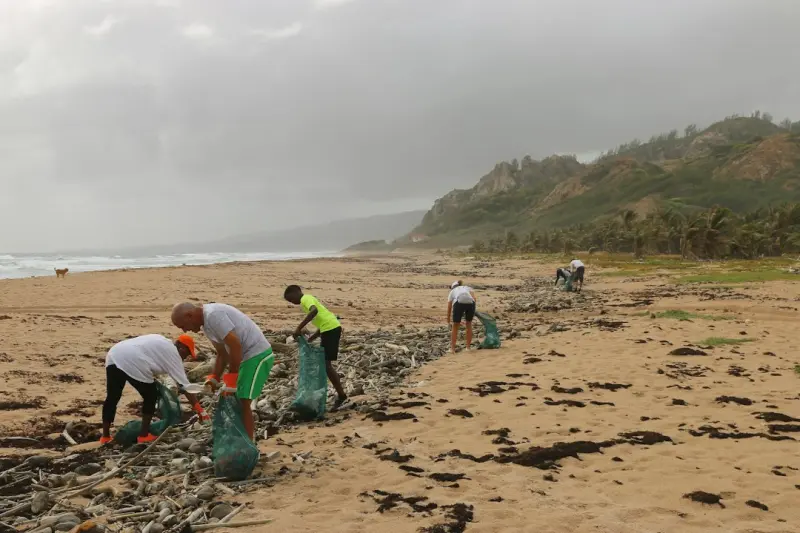 Eco‑Volunteering: Turning Travel Into a Force for Good - iBusiness Directory Canada